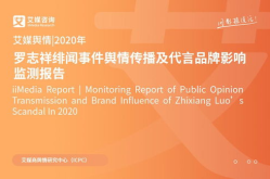网红舆情,揭秘网络红人背后的舆论漩涡
