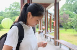 半部春秋打一个字答案,探寻“秦”字背后的历史与文化