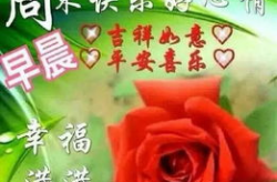 周末问候短信大全,短信传递心意，共享休闲时光