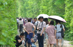 网红游客,揭秘热门游客的潮流足迹