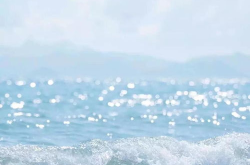 干净简约头像图片,展现个性与清新之美”