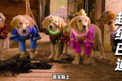 十部顶级搞笑动画电影,十部顶级搞笑动画电影大盘点