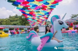 彩虹网红,点亮网络世界的多彩魅力