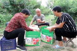 广饶网红地,探寻这座城市的魅力新地标